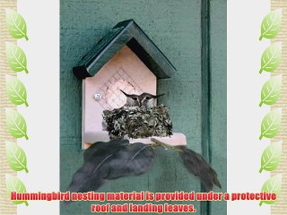 Duncraft Hummingbird House Nester