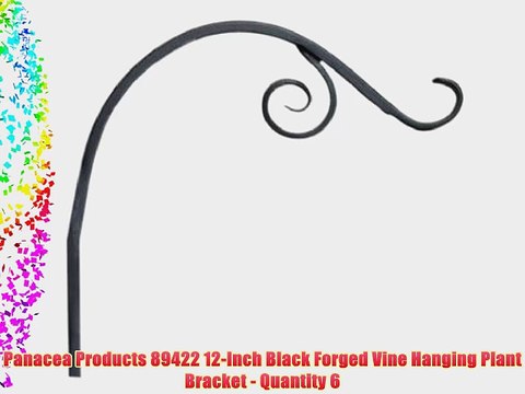 Panacea Products 89422 12-Inch Black Forged Vine Hanging Plant Bracket - Quantity 6