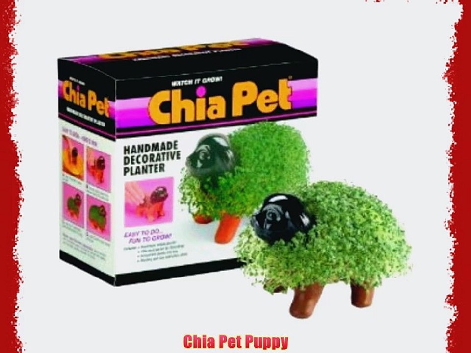 Chia Pet Puppy