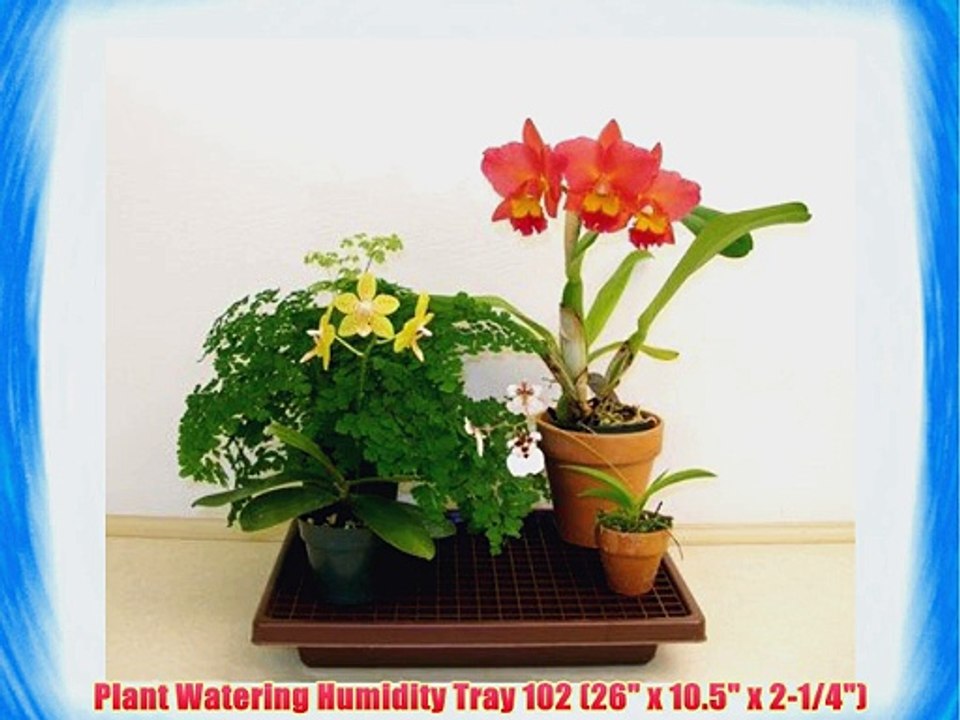 Plant Watering Humidity Tray 102 (26 x 10.5 x 2-1/4)