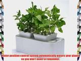 ZeroSoil Mini Indoor Garden - Self-watering Planter and Indoor Herb Garden