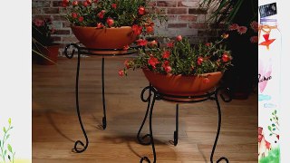 Plastec 18-Inch Black Simply Perfect Plant Stand PPS18BK