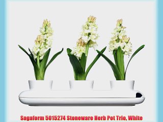 Sagaform 5015274 Stoneware Herb Pot Trio White