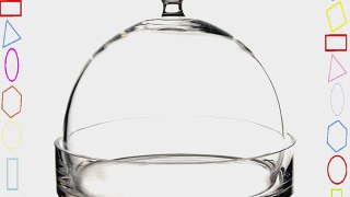 Glass Cloche with Tray Plant Terrarium. H-8.75 (1 pc)