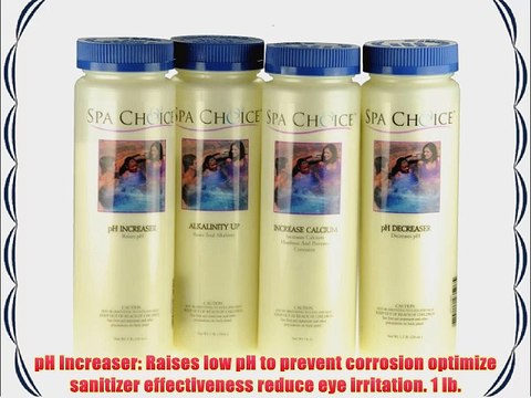 Hot Tub Spa Chemical Balance Pack: Alkalinity Up pH Increaser pH Decreaser Calcium Increaser