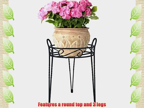 CobraCo Canterbury 15-Inch Black Scroll Top Plant Stand SCBPS1015-B