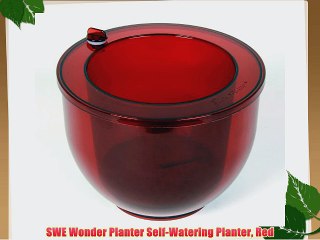 SWE Wonder Planter Self-Watering Planter Red