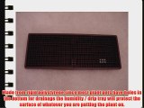 Double Pack plant Watering Tray Plant Watering Humidity Tray 102 (26 x 10.5 x 2-1/4) Double