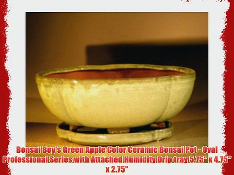 Bonsai Boy's Green Apple Color Ceramic Bonsai Pot - Oval Professional Series with Attached