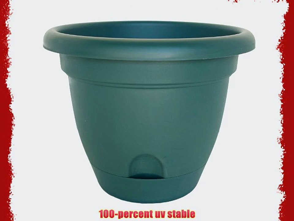 Bloem Living LP1852 Lucca Self-Watering Planter 18-Inch Midsummer Night