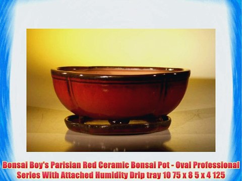 Bonsai Boy's Parisian Red Ceramic Bonsai Pot - Oval Professional Series With Attached Humidity
