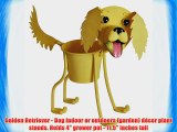 Golden Retriever - Dog indoor or outdoors (garden) d?cor plant stands. Holds 4 grower pot -