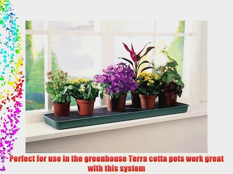 Tierra Garden GP71 Windowsill Self Watering Plant Tray