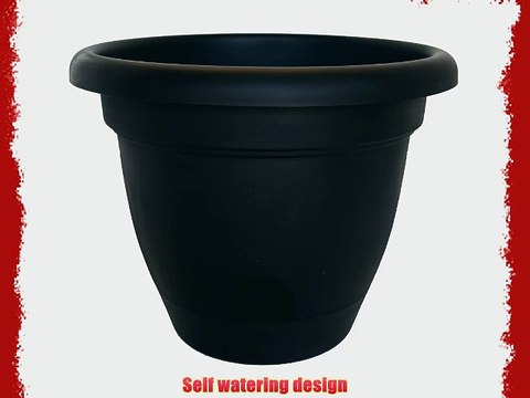 Bloem Living LP1600 Lucca Self-Watering Planter 16-Inch Black
