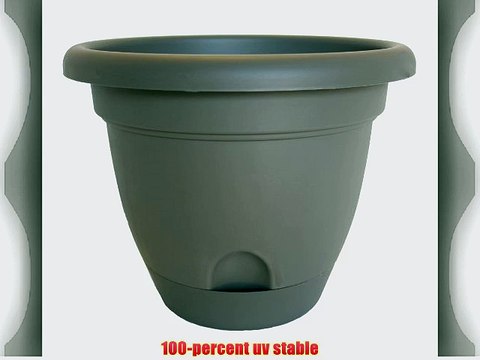 Bloem Living LP1860 Lucca Self-Watering Planter 18-Inch Peppercorn