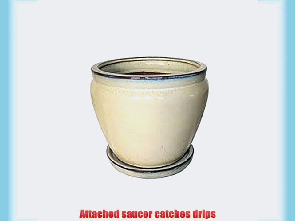 Border Concepts 11967 Fishbowl Planter with Attached Saucer 7-1/4-Inch Beige