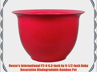 Rosso's International P2-6 6.3-Inch by 9-1/2-Inch Ruby Decorative Biodegradable Bamboo Pot