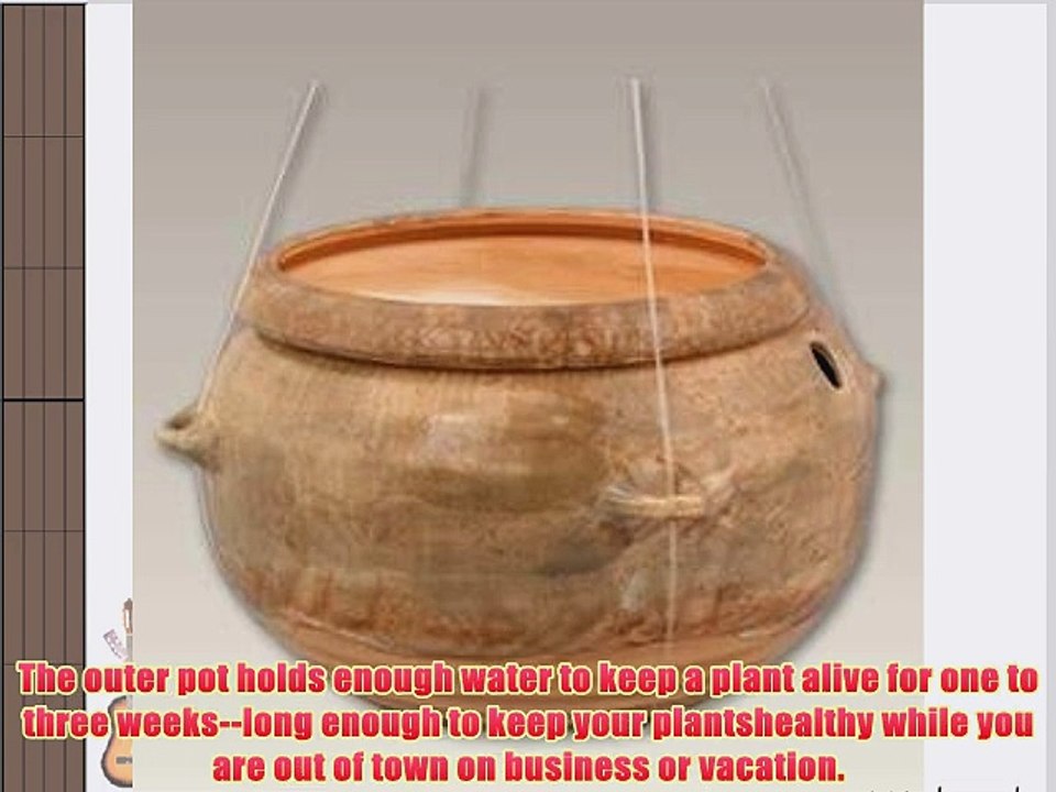 Honey Hanging Ridge Shaped Self Watering Planter 6 Diameter Opening