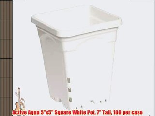 Active Aqua 5x5 Square White Pot 7 Tall 100 per case
