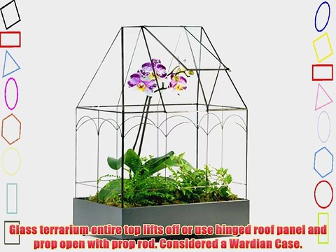 H Potter Wardian Case / Terrarium