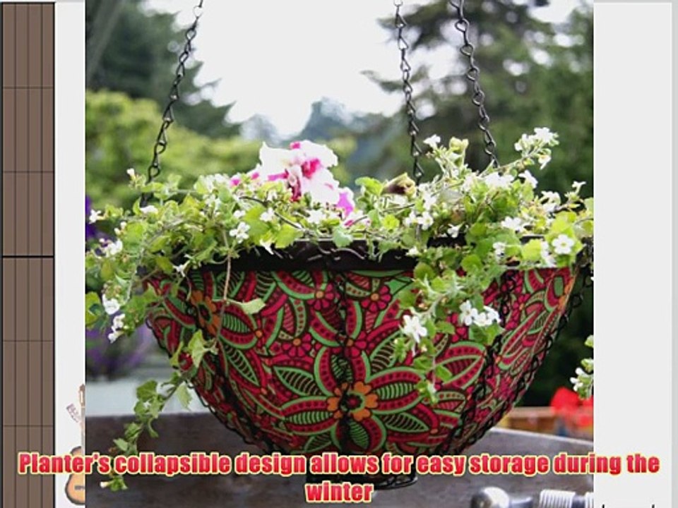 Toland Home Garden Spring Fuchsia 14-Inch Hanging Art Planter 202013