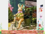 Whimsical Easter Bunny Riding Bicycle Flower Plant Pot Spring Garden Decor Distressed Vintage