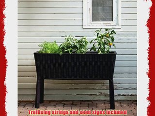 Keter Elevated Garden Bed/Plant Box