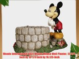 Woods International 4031 Mickey Mouse Well Planter 12-3/4-Inch by 10-1/4-Inch by 16.125-Inch