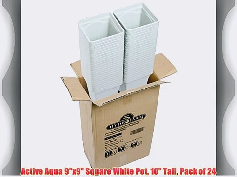Active Aqua 9x9 Square White Pot 10 Tall Pack of 24