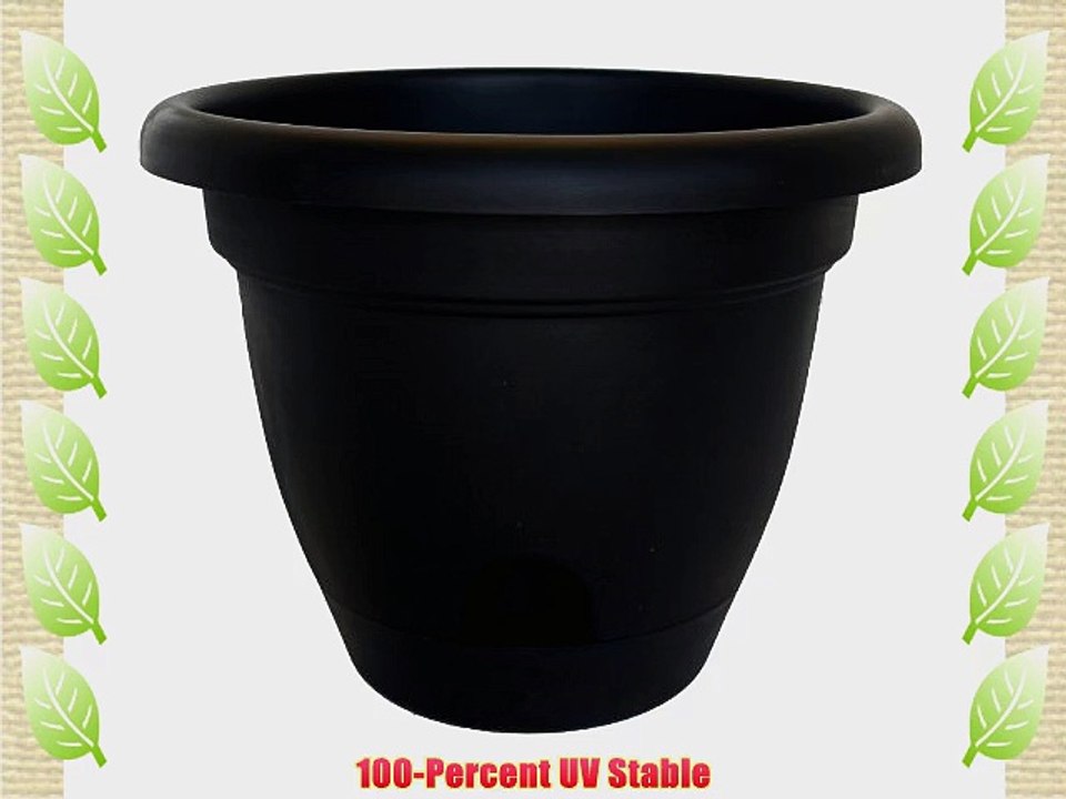 Bloem LP0600 12-Pack Lucca Self Watering Planter 6-Inch Black