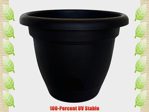 Bloem LP0600 12-Pack Lucca Self Watering Planter 6-Inch Black