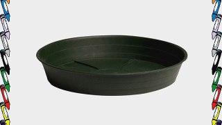 Premium Plant Saucer in Green Size / Pack: 16 / 10