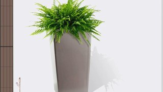 Algreen 11204 Self Watering Square Modena Planter 22-Inch Matte Granite