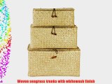 Wald Imports Set of 3 Seagrass Reed Trunks Whitewash