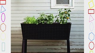 Keter Elevated Garden Bed/Plant Box