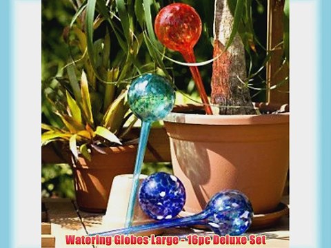 Watering Globes Large - 16pc Deluxe Set