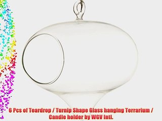 6 Pcs of Teardrop / Turnip Shape Glass hanging Terrarium / Candle holder by WGV Intl.
