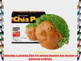 Chia Pet Decorative Indoor Pottery Planter - Kid
