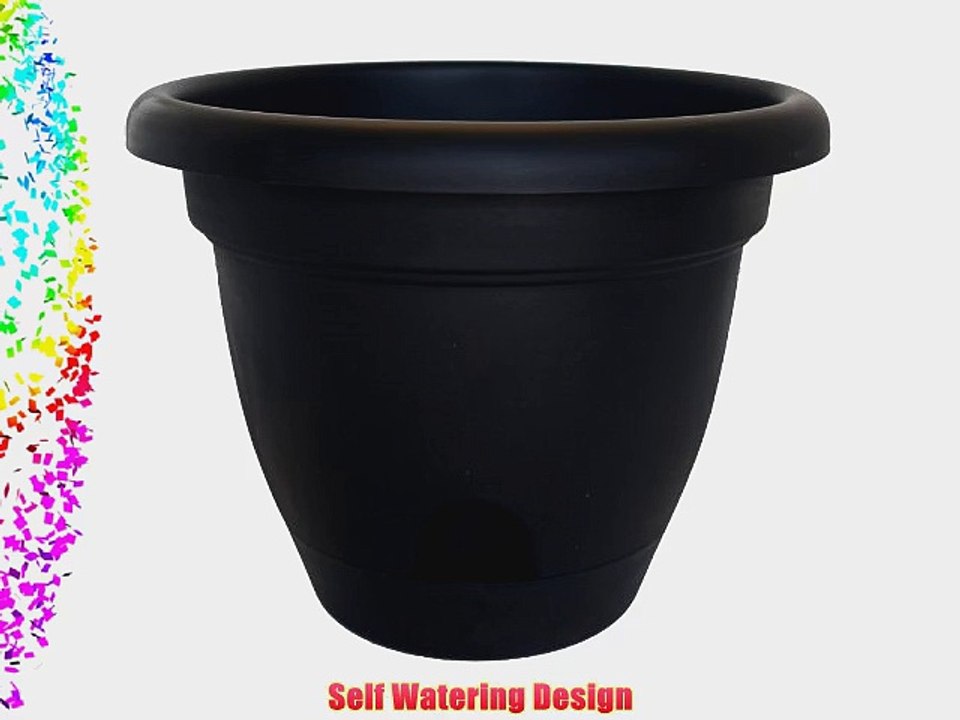 Bloem LP1000 6-Pack Lucca Self Watering Planter 10-Inch Black