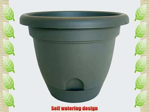 Bloem Living LP1660 Lucca Self-Watering Planter 16-Inch Peppercorn