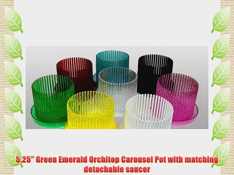 5.25 Green Emerald Orchitop Carousel Pot with matching detachable saucer
