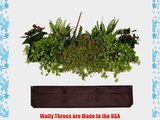 Indoor/Outdoor Wally Three w/Reservoir Living Wall Planter and DIY Drip Kit by Woolly Pocket