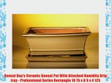 Bonsai Boy's Ceramic Bonsai Pot With Attached Humidity Drip tray - Professional Series Rectangle