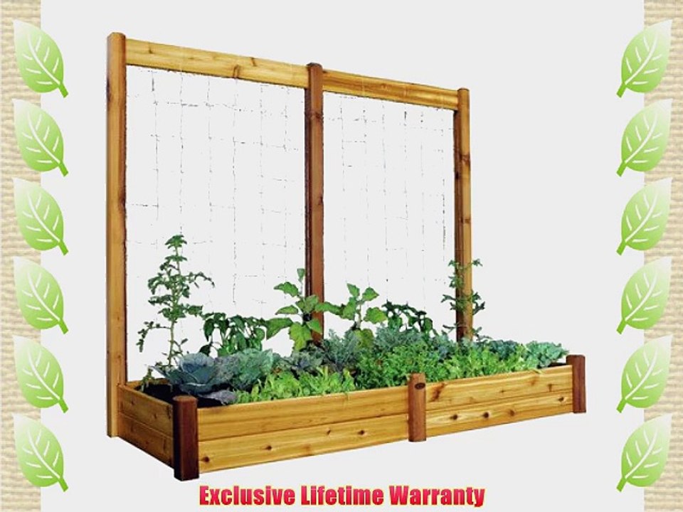 Gronomics RGBTK3495 Raised Garden Bed 34 by 95 by 13-Inch with 95 by 80-Inch Trellis Kit