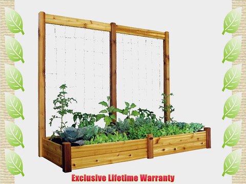 Gronomics RGBTK3495 Raised Garden Bed 34 by 95 by 13-Inch with 95 by 80-Inch Trellis Kit