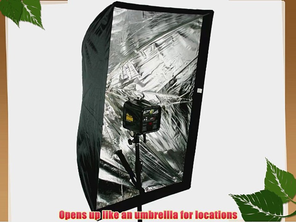 Photography Umbrella type Softbox 24 x 36 with Grid for Canon Nikon or Alien Bees 6090GD