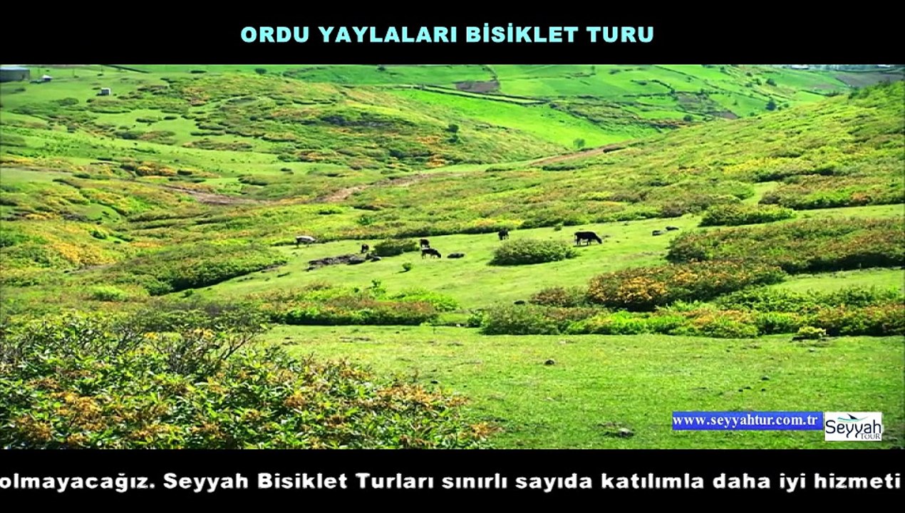 Ordu Yaylaları Bisiklet Turu