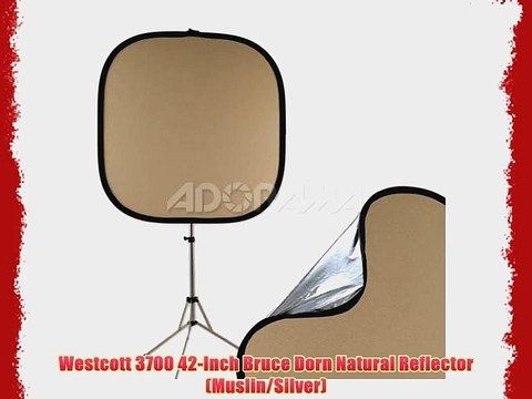 Westcott 3700 42-Inch Bruce Dorn Natural Reflector (Muslin/Silver)