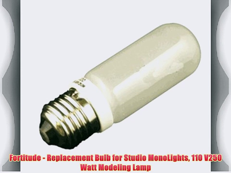Fortitude - Replacement Bulb for Studio MonoLights 110 V250 Watt Modeling Lamp