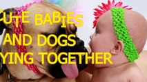 Cute babies and dogs playing together Funny baby dog compilation
